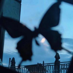 范冰冰啃食鸡主大鸡扒
