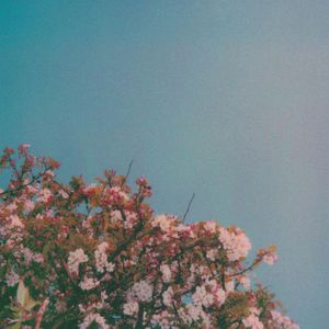 范冰冰啃食鸡主大鸡扒
